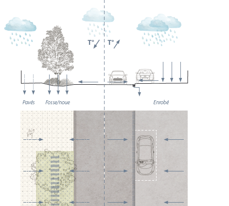 You are currently viewing Fiche pratique / Revêtements perméables