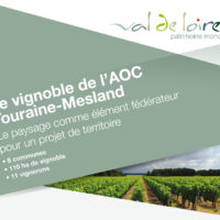 Les paysages de l’AOC Touraine-Mesland