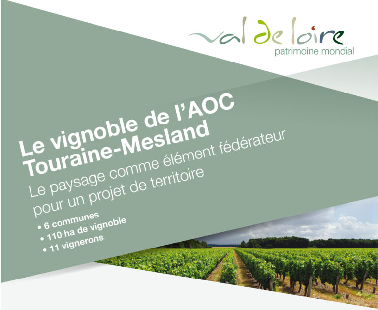 You are currently viewing Les paysages de l’AOC Touraine-Mesland