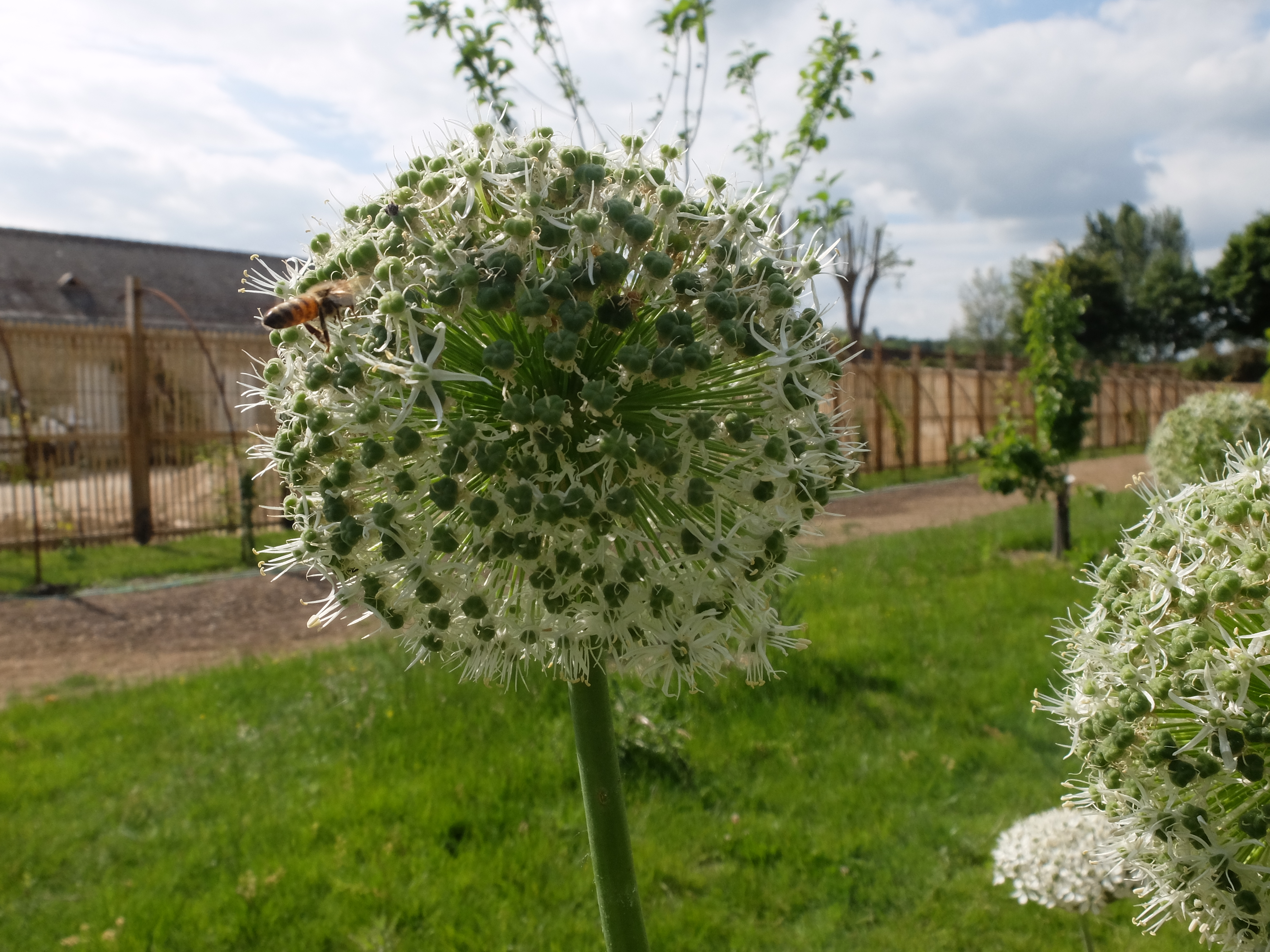 You are currently viewing Visite “territoires en projets” Villes et Villages Fleuris, le 26 mai 2015