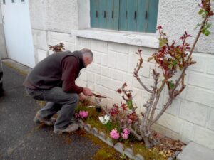 Lire la suite à propos de l’article « Jardinons nos villages » à Lisle