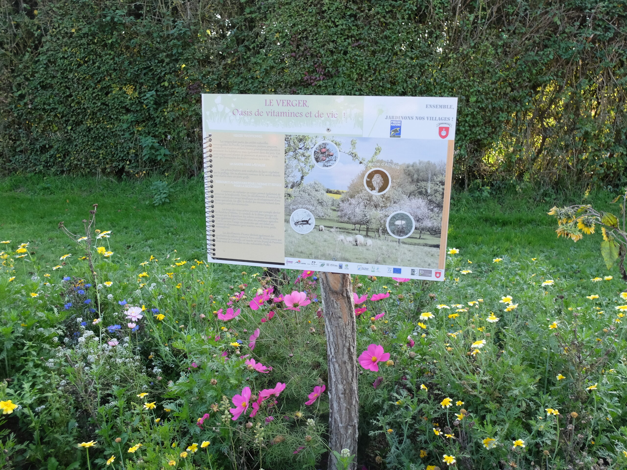 You are currently viewing « jardinons nos villages » dans le petit Vendômois – 09/11/15