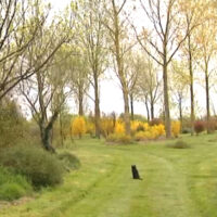 Reportage sur l’arboretum de la petite Loiterie en Touraine