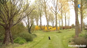 Lire la suite à propos de l’article Reportage sur l’arboretum de la petite Loiterie en Touraine