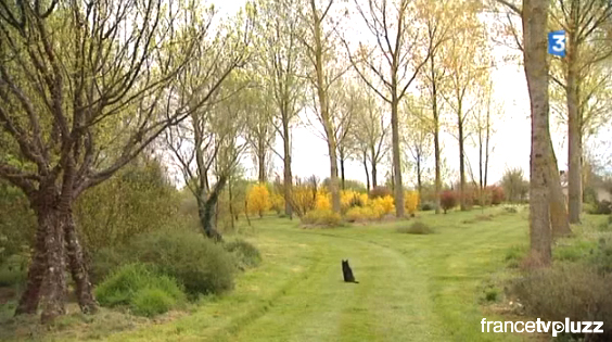 You are currently viewing Reportage sur l’arboretum de la petite Loiterie en Touraine