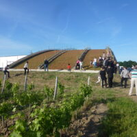 “Les vignes suspendues” à Cheverny, en ligne sur l’observatoire des CAUE