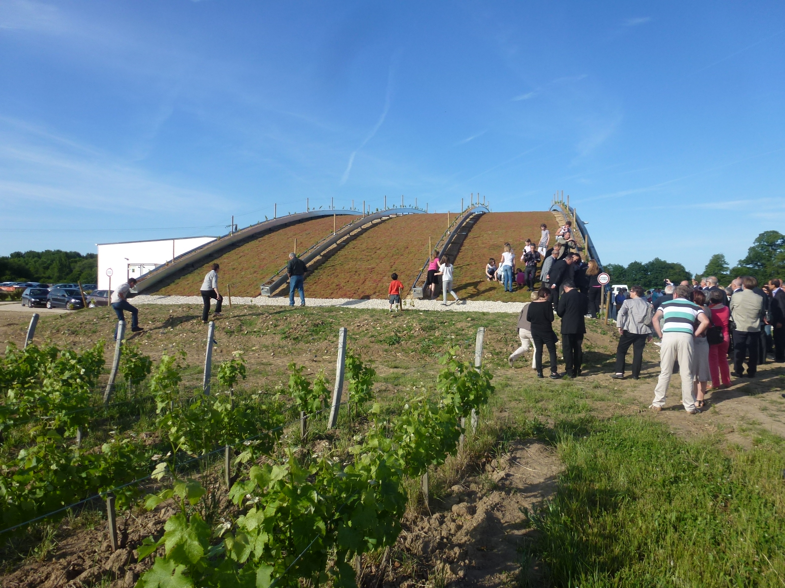 « Les vignes suspendues » à Cheverny, en ligne sur l’observatoire des CAUE