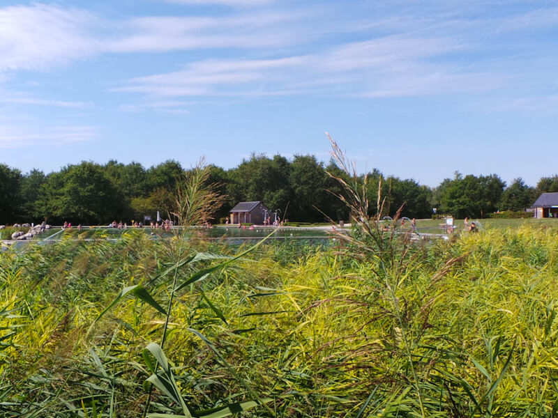 La baignade naturelle de Mont-Près-Chambord, en ligne sur l’Observatoire CAUE