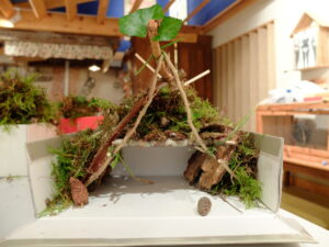 Lire la suite à propos de l’article Intervention en milieu scolaire « Sologne entre Terre et Bois » atelier du 06/03/17