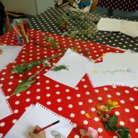 Atelier “herbier” à la médiathèque de Mont-Près-Chambord, les 12 & 19 juillet 2017