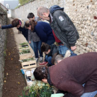 Un atelier participatif pour le Conseil des jeunes de Landes-le-Gaulois