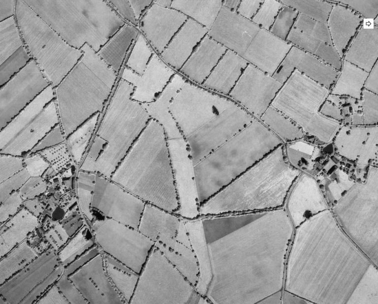 You are currently viewing « Espace de biodiv », trame verte et bleue – 6 février 2018