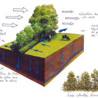 Guide “Le bocage, un territoire d’actions”