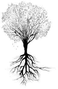 Lire la suite à propos de l’article Soirée « L’arbre et le territoire » 5/02/19