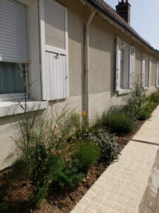 Lire la suite à propos de l’article Les « rues jardins »
