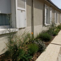 Les « rues jardins »