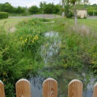 Une assemblée générale dans un environnement fleuri