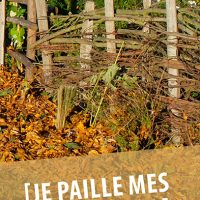 Je paille mes plantations