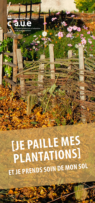 You are currently viewing Je paille mes plantations