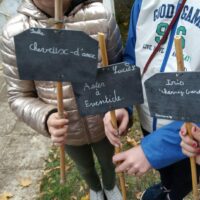 Atelier de plantation à Maves