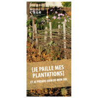 Je paille mes plantations