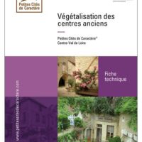 Une nouvelle fiche technique : la végétalisation des centres anciens