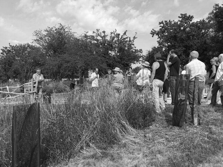 You are currently viewing L’arboretrogne de la Maison Botanique à Boursay inauguré le 17 juin 2023