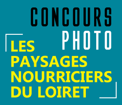 Lire la suite à propos de l’article Participez au concours photo du CAUE du Loiret