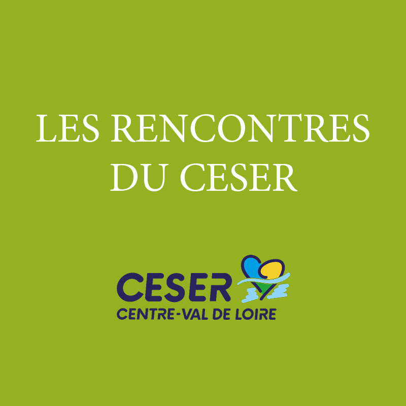 Ruralités / Quelles stratégies de développement des territoires à long terme ?