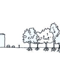 Fiche pratique / Je protège les pieds d’arbres