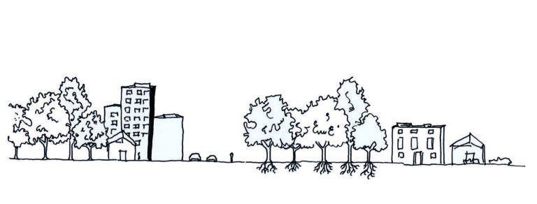 You are currently viewing Fiche pratique / Je protège les pieds d’arbres