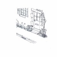 Fiche pratique / Je plante en pied de mur