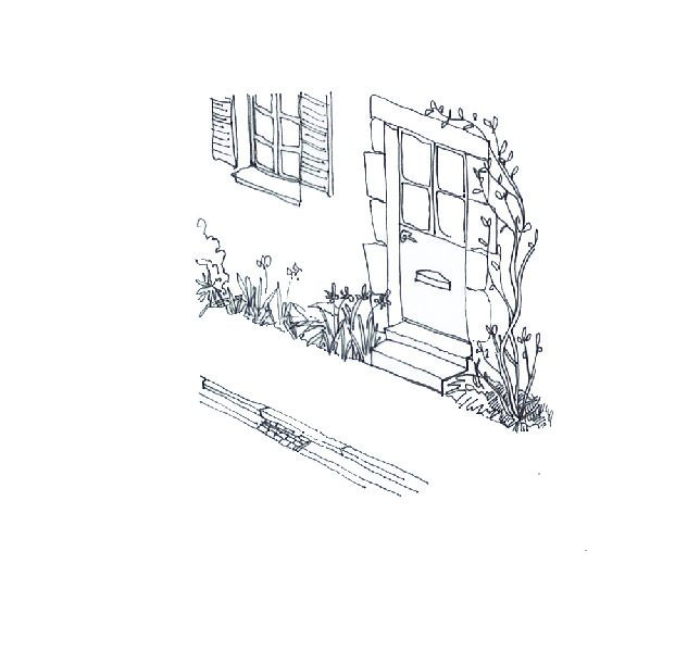 You are currently viewing Fiche pratique / Je plante en pied de mur