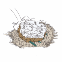 Fiche pratique / Je réceptionne les végétaux