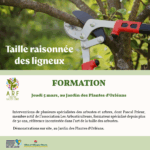 La taille raisonnée des ligneux