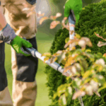 Formation sur la taille des ligneux le 5 mars avec l&rsquo;ARF à Orléans